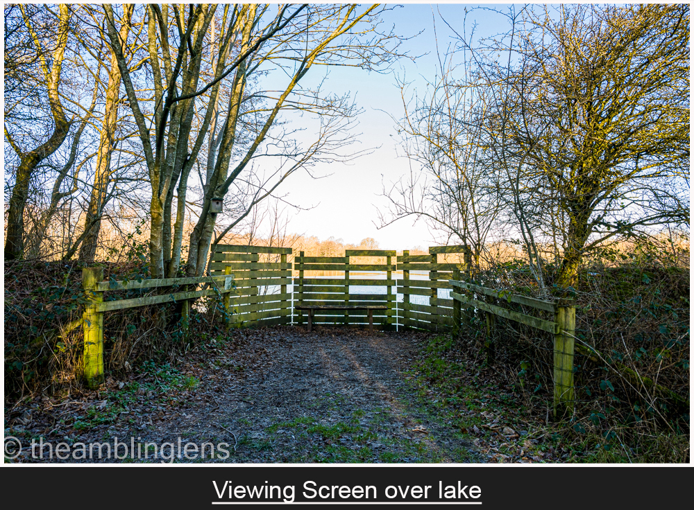 Viewing Screen over the Lake

