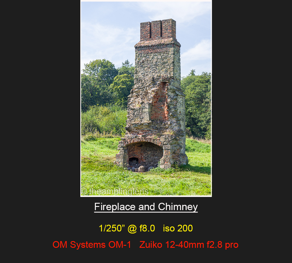 Fireplace and Chimney
