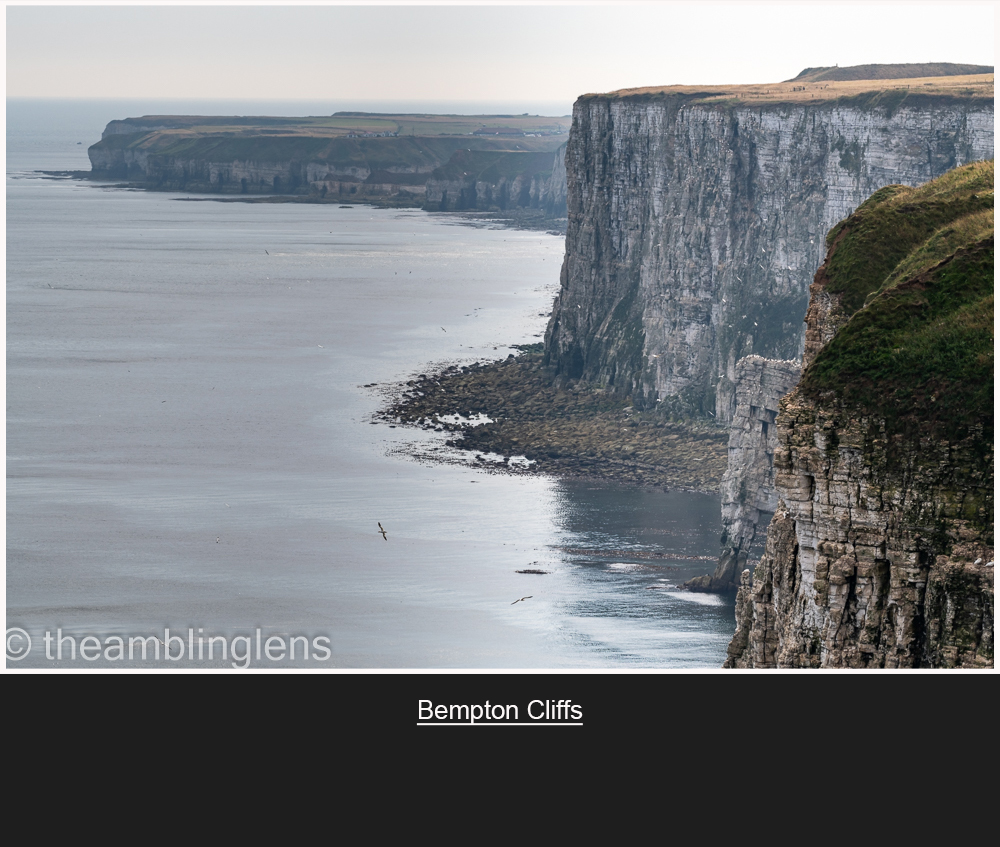The Cliffs at Bempton